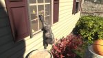 Goat Simulator Screenshot 10