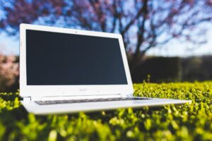 Laptop Wiese