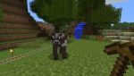 Minecraft Screenshot 5