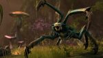 The Elder Scrolls Online: Tamriel Unlimited Screenshot 4