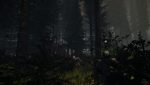 The Forest Screenshot 516