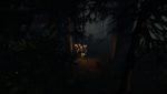 The Forest Screenshot 18