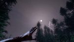 The Forest Screenshot 5