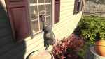 Goat Simulator Screenshot 10